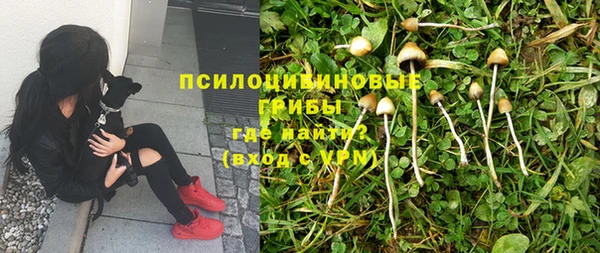 PSILOCYBIN Алексеевка